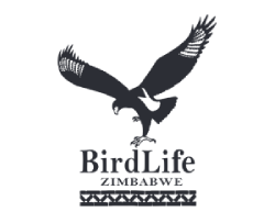 Birdlife Zimbabwe Logo