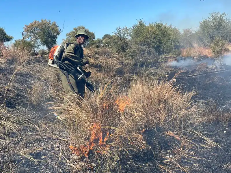 Burning Firebreaks