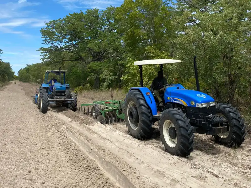 Harrowing firebreaks