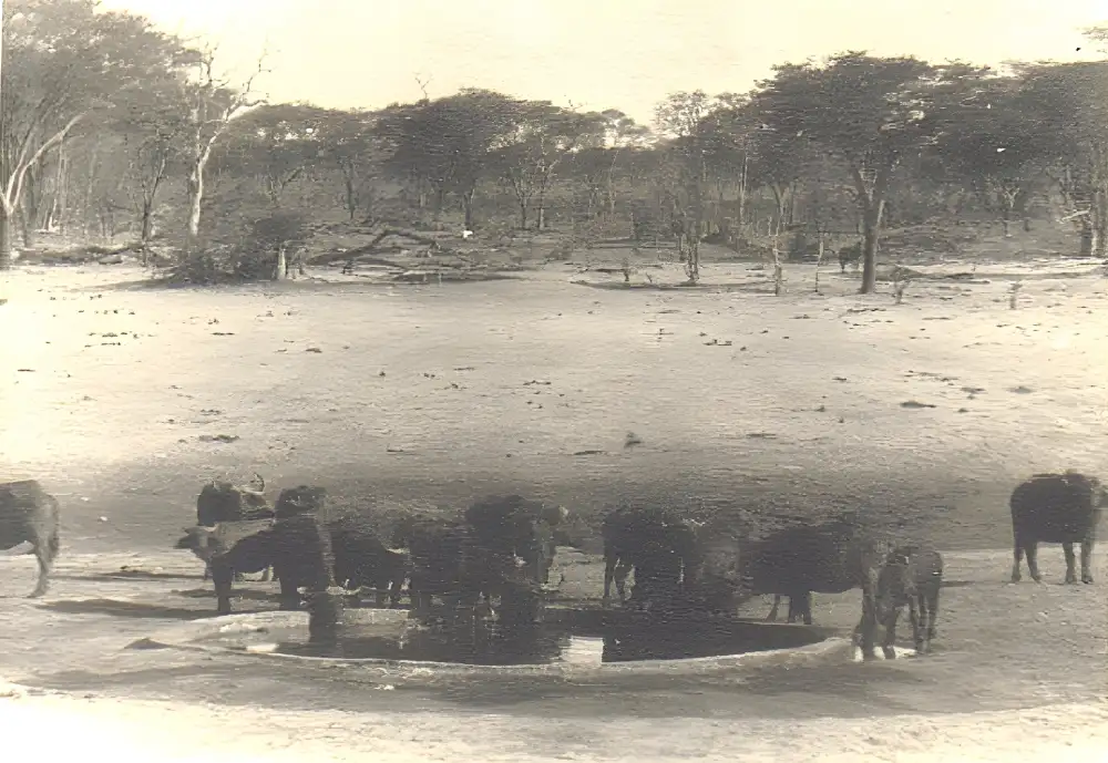 History Pic 01