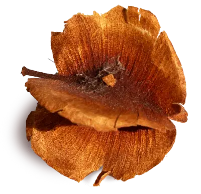 Pod 3