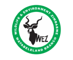 WEZ Logo