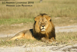 Cecil_MAGM1_Loveridge2