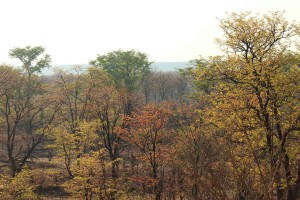 IMG_1722r