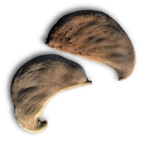 Pods 06a