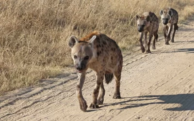 News Update June – Aug 2025