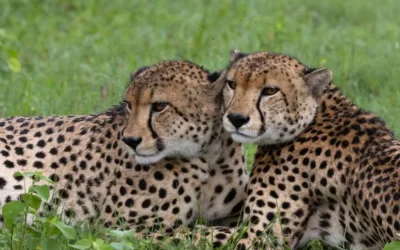 Hwange News Update February 2026