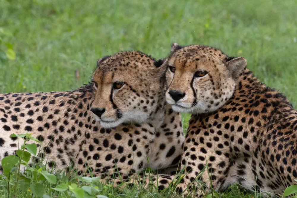 Hwange News Update February 2026